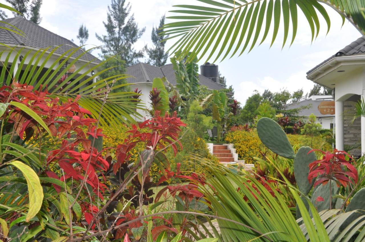Home Bliss Hotel- Fort Portal Uganda 외부 사진